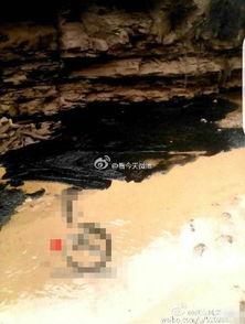 延安油田爆料最新消息今天,最新勘探成果助力能源产业新突破